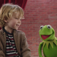Illustration for article titled The Muppets are coming back to TV, sort of